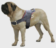 Old English Mastiff Nylon multi-purpose dog harness pulling
