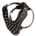spiked dog harness