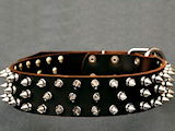 Spiked dog collars