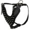 Spiked Dog Harness for American Bulldog