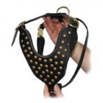 Boxer leather dog harness with studs