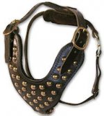 Studded Leather Dog Harness - Padded leather dog harness
