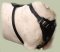 English Bull Terrier Dog Harness- Leather Dog Harness for BT