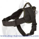 All Weather Light Weight Nylon Dog Harness for Tracking and Pulling