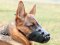 Leather Dog Muzzle for Large Breeds - K9 Dog Muzzle