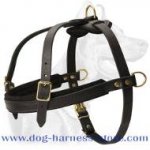 Leather Training Dog Harness for Pulling/Tracking Work
