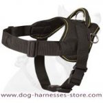 Pyrenean Mastiff Nylon dog harness with handle