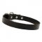 Elegant leather dog collar