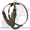 French Mastiff Studded Walking Dog Harness