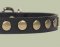 Studded Leather Puppy Collar for DOG puppy