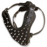 Large Spiked Leather Dog Harness fog big dogs- custom made