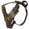 Large Exclusive Padded Leather Dog Harness for Big BREEDS