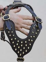 Leather Spiked Body Dog Harness