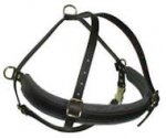 Walking Leather Dog Harness for all breeds