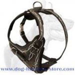 Leather Heavy Duty Harness with Exclusive Hand Set Barbed Wire Painting