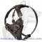 Durable Leather Dog Harness with Wide Chest Plate