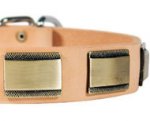 Designer Dog Collar for Large Dog Breed