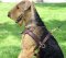 Tracking/Pulling Leather Dog Harness Airedale Terrier