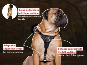 Tracking Walking Leather Dog Harness for Deutsche Dogge