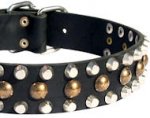 Leather Dog Collars with Studs for DOG