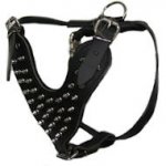Boxer Spike Dog Harness