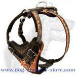 Comfort Padded Dog Harness for Training and Walking