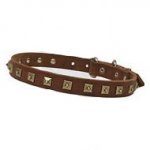 Leather Decorated Dog Collar with Attractive Brass Studs