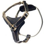 Medium Dog Harness-Control Leather Dog Harnesses for ALL BREEDS