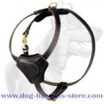 Small dog harness for puppies and small dogs - walking harness