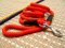 Cord Nylon Dog Leash for Walking and Training