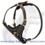 Tracking Walking leather dog harness to fit Akita Inu