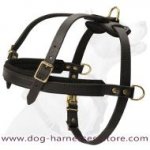 Spanish Mastiff Pulling Leather Dog Harness - Big dog harness