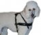 Poodle Dog Harness-Leather Dog Harness for Poodle-Best Harness