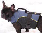 Dog harness for small dogs like French bulldog, spaniels