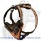 Comfort Padded Dog Harness for Training and Walking