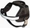 Boston Terrier harness - Nylon dog harness for tracking/pulling
