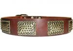 Luxury Leather Dog Collar for every day walking dogs