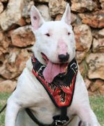 Bull Tterrier Deluxe dog harness- Hand painted harness