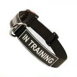 All Weather Nylon Dog Collar with Patches and Quick Release Buckle