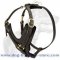 Luxury Handcrafted Training/Walking Harness for Different Breeds