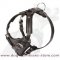 Alaskan Malamute walking Leather Dog Harness- Malamute harness