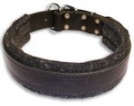 1 Inch (25 mm) Wide Leather Collar with Thick Felt Padding