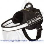 Multifunctional Nylon Harness with ID Patches for All Breeds