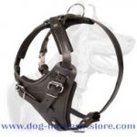Durable Leather Dog Harness with Wide Chest Plate