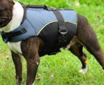 Boxer Dog Vest-Dog Coat with Handle
