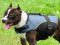 Dog Vest Coat for Pitbull Terrier