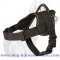 All Weather Light Weight Nylon Dog Harness for Tracking and Pulling