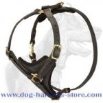 Leather Tracking Dog Harness for Prolonged Activities