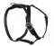 Similar to La Cinopelca Adjustable Leather Harness - all breeds