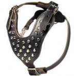 Studded Leather Dog Harness with Pyramids - Custom Dog Harness
